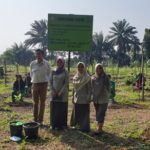 Polbangtan Bogor-Nestle Tanam Bareng Sistem Tumpang Sari