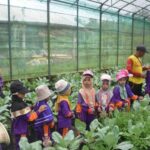 Kenali Dunia Pertanian Sejak Dini, Siswa TK IT Raudhatun Naqiyah Kunjungi Agroeduwisata Kementan